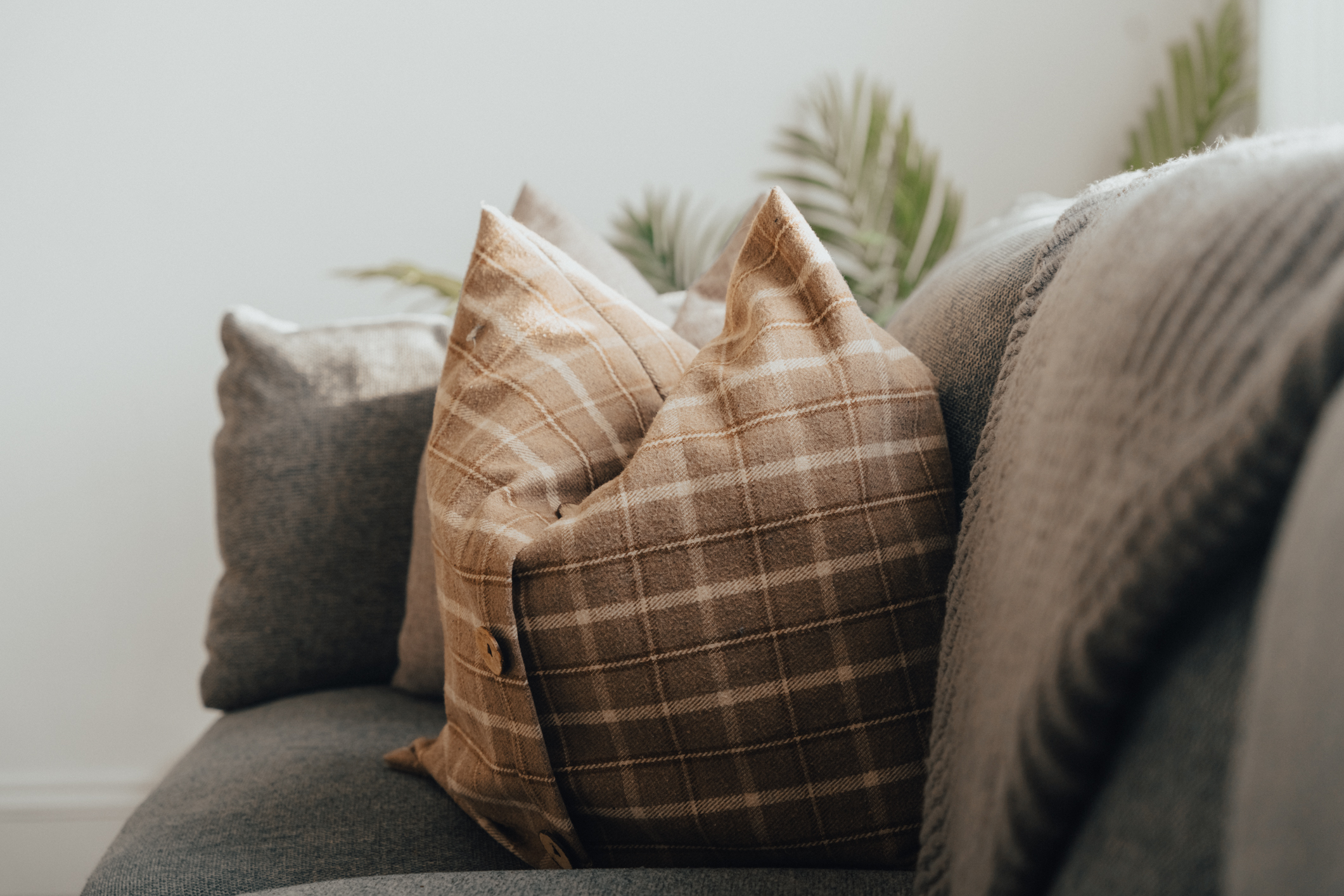 Checked cushions arranged on a grey sofa in a guest living room
